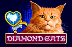 Diamondscats